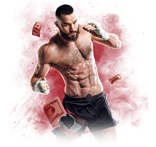 boxer